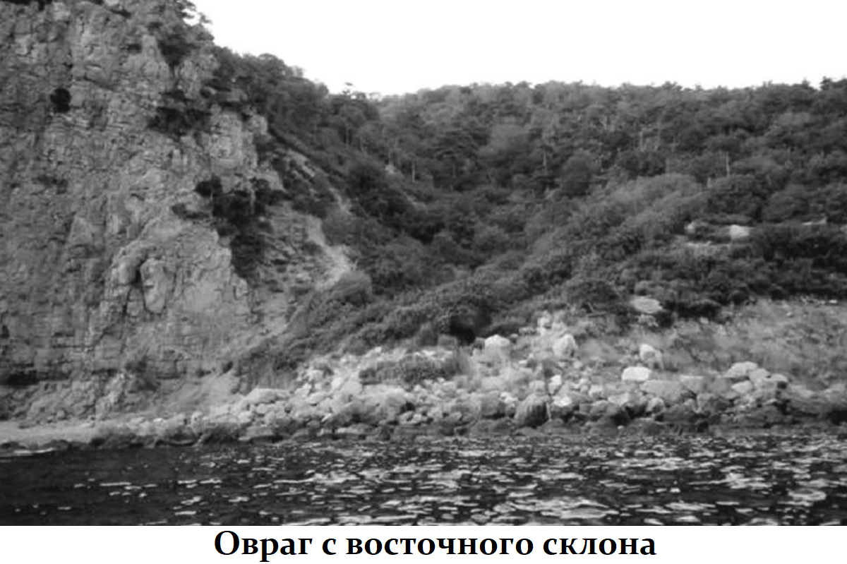 2021-11-09_14-12-52.png